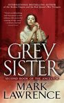 Grey Sister - 圖片 1