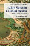 Asian Slaves in Colonial Mexico - 圖片 1