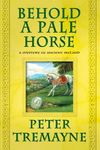 Behold a Pale Horse: A Mystery of Ancient Ireland - 圖片 1