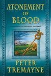 Atonement of Blood: A Mystery of Ancient Ireland - 圖片 1