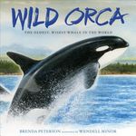 Wild Orca: The Oldest, Wisest Whale in the World - 圖片 1