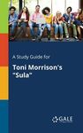 A Study Guide for Toni Morrison's "Sula" - 圖片 1