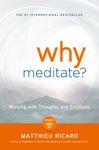 Why Meditate? - 圖片 1