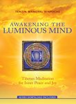 Awakening the Luminous Mind - 圖片 1