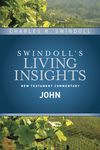 Insights on John - 圖片 1