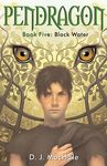 Black Water - 圖片 1