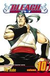 Bleach, Vol. 10: Tattoo on the Sky - 圖片 1
