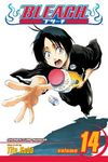 Bleach, Vol. 14 - 圖片 1
