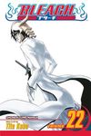 Bleach, Vol. 22 - 圖片 1