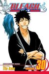 Bleach, Vol. 30 - 圖片 1
