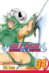 Bleach, Vol. 34 - 圖片 1