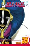 Bleach, Vol. 35 - 圖片 1