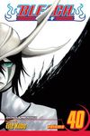 Bleach, Vol. 40: The Lust - 圖片 1