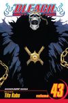 Bleach, Vol. 43 - 圖片 1