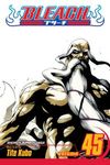 Bleach, Vol. 45: The Burnout Inferno - 圖片 1