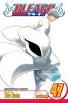 Bleach, Vol. 47: End of the Chrysalis Age - 圖片 1