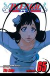 Bleach, Vol. 65: Marching Out the Zombies - 圖片 1