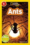 Ants (National Geographic Kids Readers, Level 1) - 圖片 1