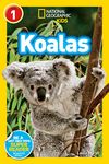 Koalas (National Geographic Kids Readers, Level 1) - 圖片 1