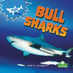 Bull Sharks - 圖片 1