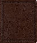 Journaling Bible-ESV - 圖片 1