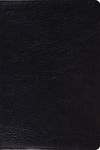 Study Bible-ESV-Personal Size - 圖片 1