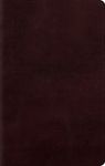 Large Print Personal Size Bible-ESV - 圖片 1