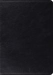 Study Bible-ESV - 圖片 1