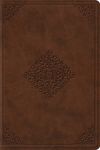 Study Bible-ESV-Personal Size Ornament Design - 圖片 1
