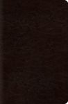 New Classic Reference Bible-ESV - 圖片 1