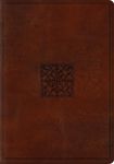 Study Bible-ESV-Celtic Imprint Design - 圖片 1