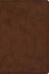 Study Bible-ESV-Personal Size - 圖片 1