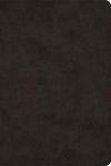 Large Print Bible-ESV - 圖片 1