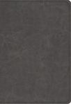 Student Study Bible-ESV - 圖片 1