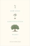 How Does Sanctification Work? - 圖片 1