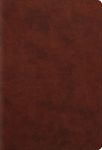 ESV Student Study Bible (Trutone, Chestnut) - 圖片 1