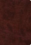 ESV Super Giant Print Bible (Trutone, Burgundy) - 圖片 1
