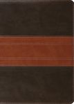 ESV Study Bible, Large Print (Trutone, Forest/Tan, Trail Design) - 圖片 1