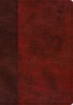 ESV Single Column Journaling Bible, Large Print (Trutone, Burgundy/Red, Timeless Design) - 圖片 1