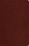 ESV Pocket Bible (Trutone, Chestnut) - 圖片 1