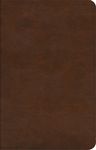 ESV Concise Study Bible(tm) (Trutone, Brown) - 圖片 1