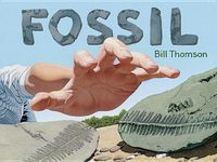 Fossil - 圖片 1