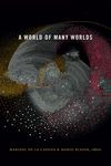 A World of Many Worlds - 圖片 1
