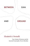 Between Gaia and Ground: Four Axioms of Existence and the Ancestral Catastrophe of Late Liberalism - 圖片 1