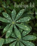 Raindrops Roll - 圖片 1