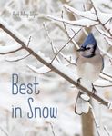 Best in Snow - 圖片 1