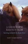A Good Horse Has No Color: Searching Iceland for the Perfect Horse - 圖片 1