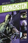 Frankenstein: A Graphic Novel - 圖片 1