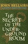 The Secret of the Underground Room - 圖片 1