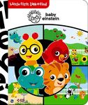 Baby Einstein: Little First Look and Find - 圖片 1